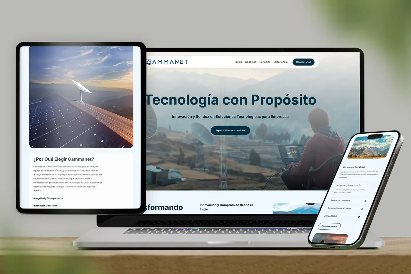 Diseño web responsive para los servicios de Gammanet.