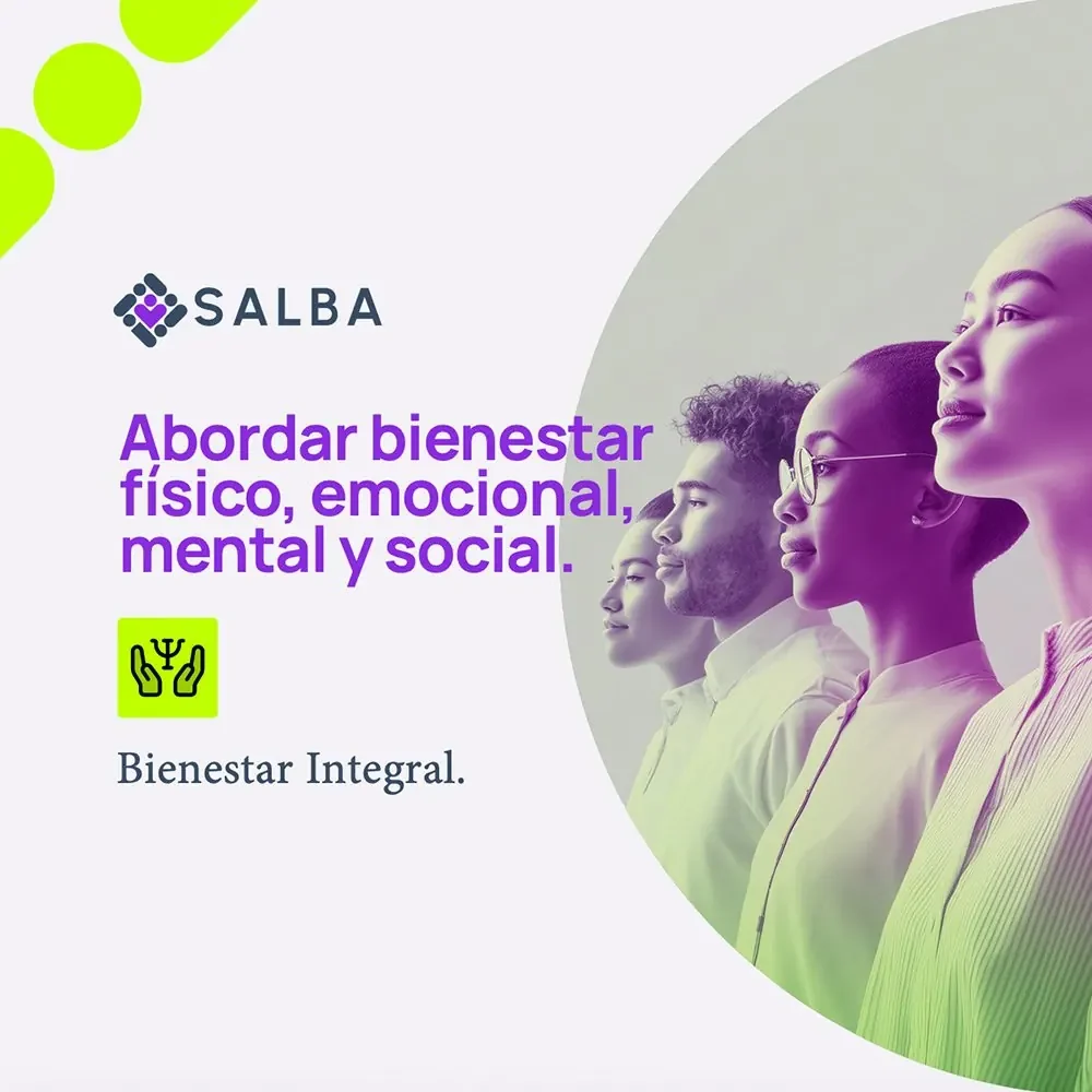 Pieza informativa para presentar el programa integral.